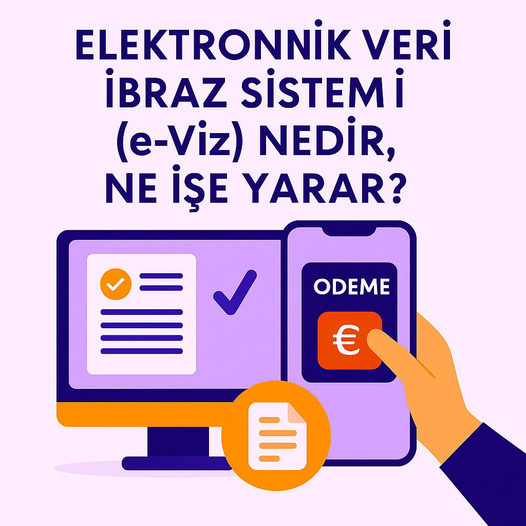 Elektronik Veri İbraz Sistemi (e-Viz) Nedir, Ne İşe Yarar?